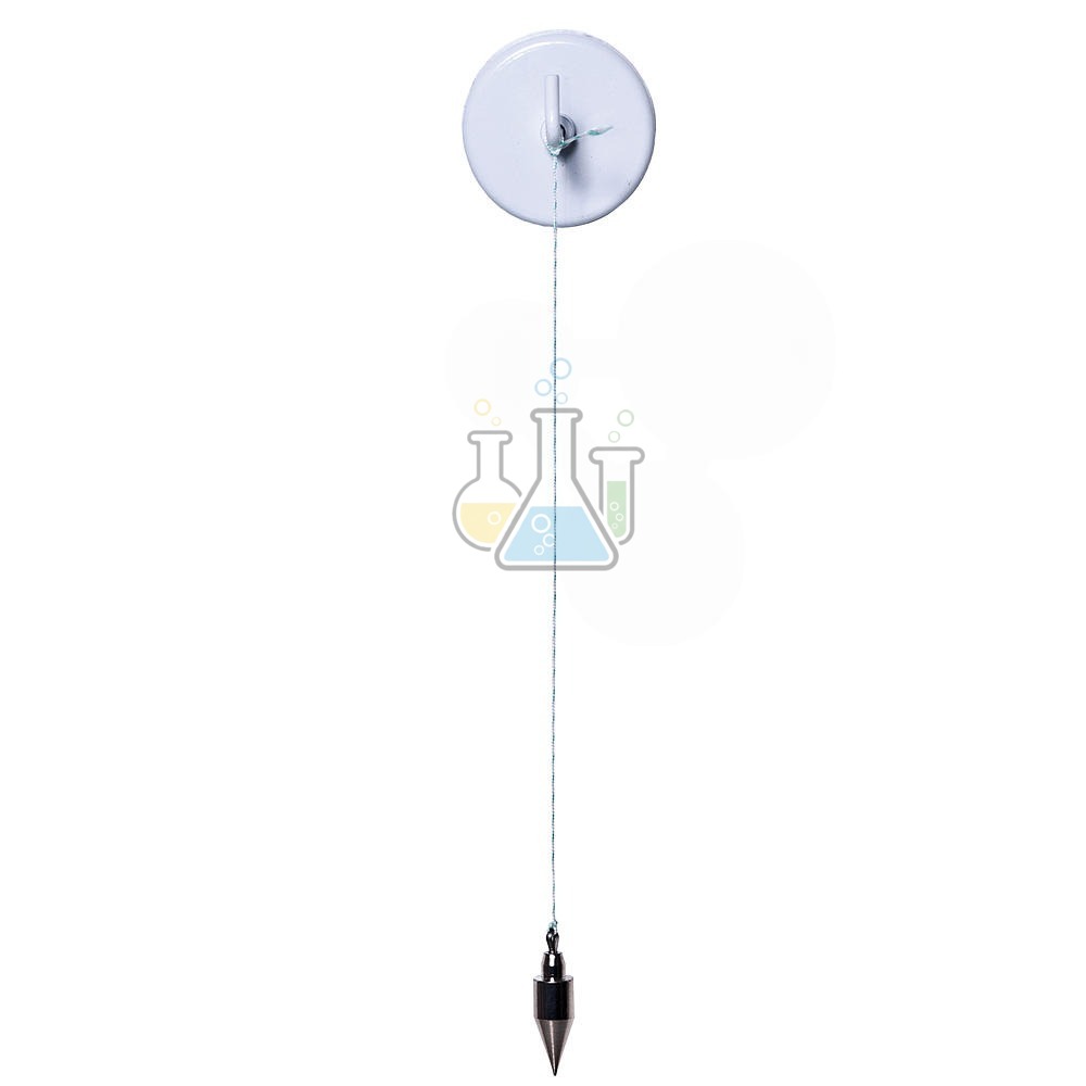 Pendulum with magnetic holder